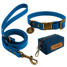 Collars & Leashes