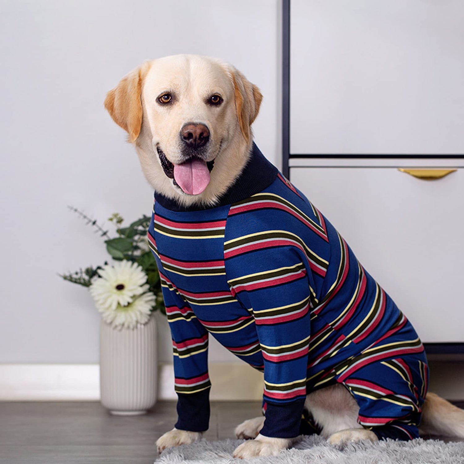 Large Dog Apparel