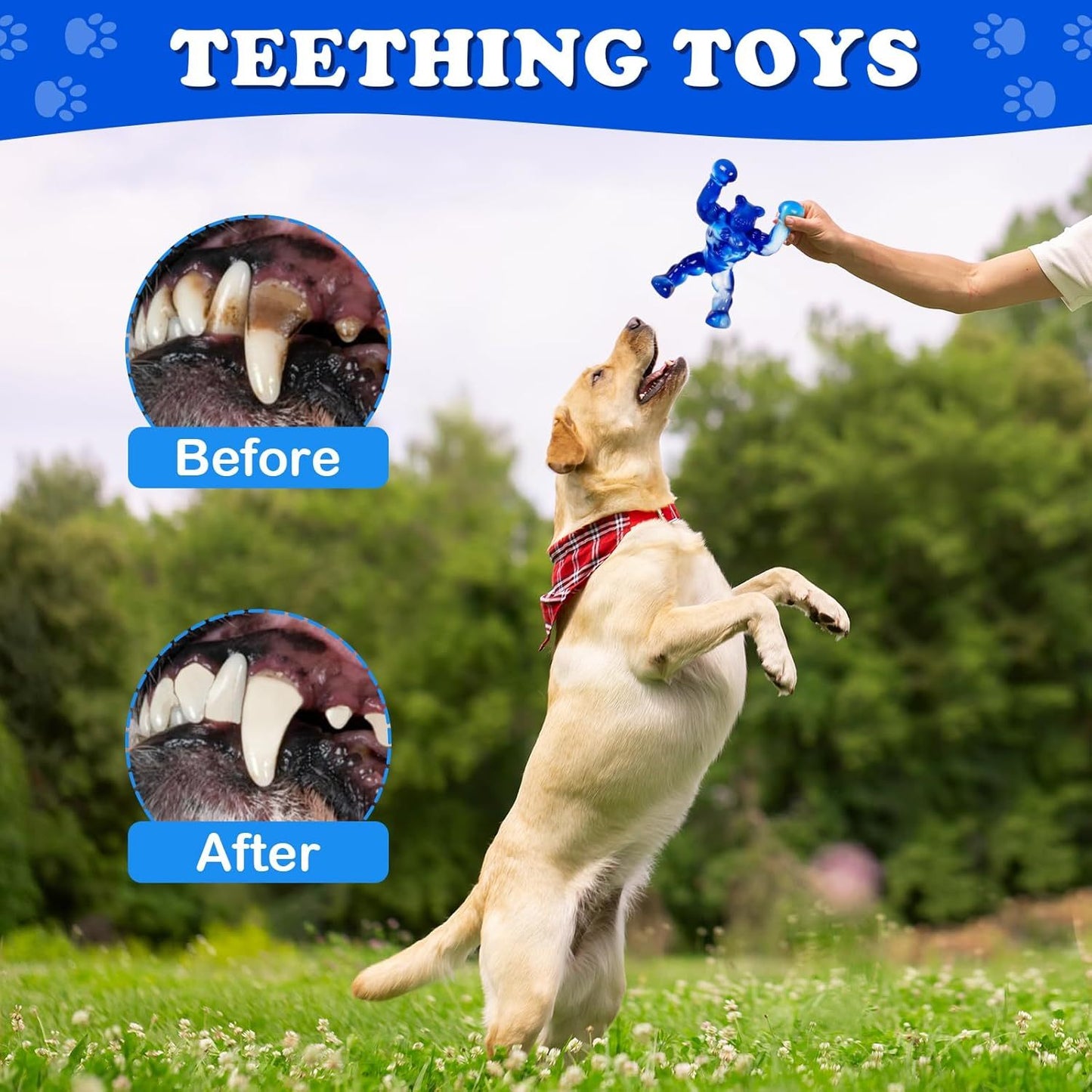 Indestructible Dog Chew Toy for Aggressive Chewers - Tough Nylon, All-Breed Compatible, Promotes Dental Health