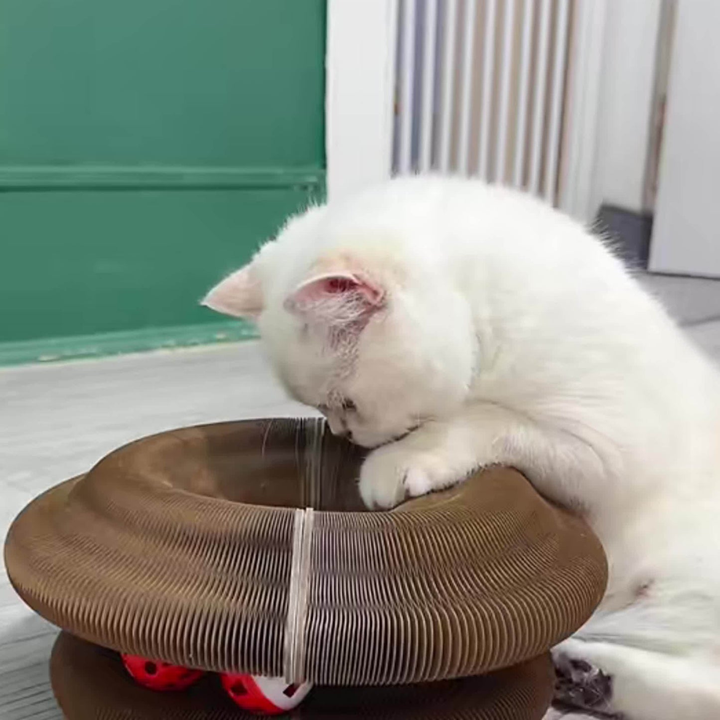 Magical Organ for cat Scratching Board, Wear-Resistant Indoor Interactive for cat Toys-Magic Organ for cat Scratcher Board with Circular Ball Track - Cardboard Scratching Pad for Cats-1/2pcs -Thickened for cat Scratching Boar