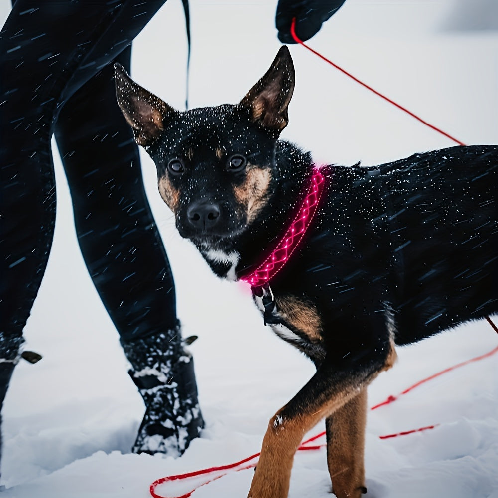 [USB Rechargeable] Adjustable USB Chargeable LED Embroidery Collar | Enhance Visibility, Ensure Night Safety for Pets During Walks