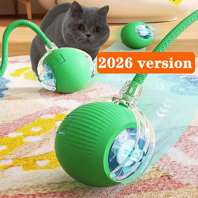 New Cat Interactive Ball Toy,Automatic Rolling Cat Ball Rechargeable,Smart Kitten Interactive Toy,Intelligent Balls Toy for Cat