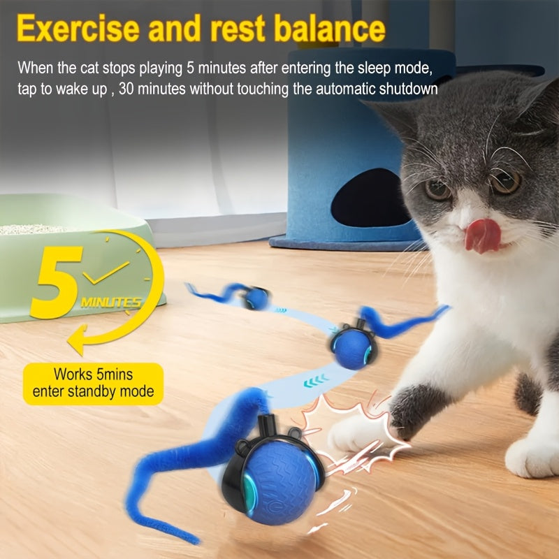 Interactive Cat Toy for Indoor Cats, Speedy Ball with Tail, Automatic Moving Cat Balls for Bored Indoor Adult Cats, 360°Automatic Rolling Ball Toy, Two Speed Adjustment