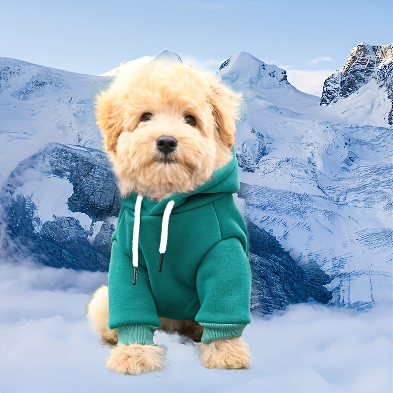 100% Polyester All-Season Knit Fabric Paiaite Dog Hoodie Sweatshirt - Pullover with Back Pocket - Ideal for Small to Medium Breeds, Walks & Adventures