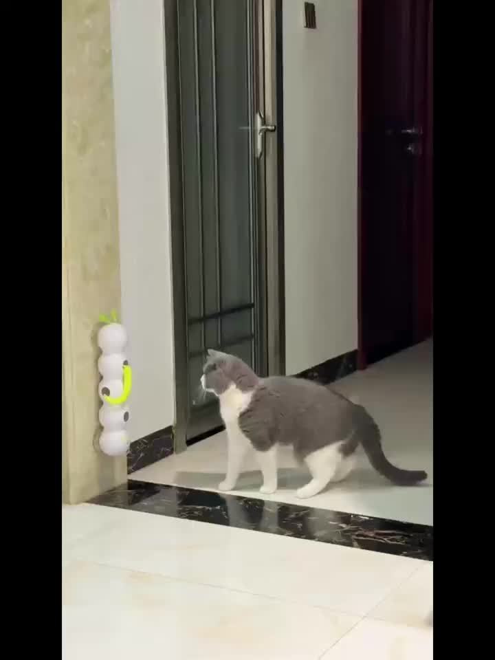 This Is a Usb-Rechargeable Interactive Cat Toy Featuring a Feather on a Stick. It Can Be Attached to Glass Or Tile Surfaces for Hands-Free Play And Includes a Spare Feather And a USB Charging Cable